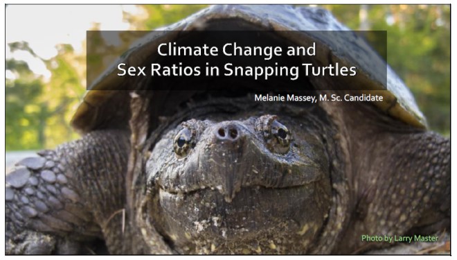 2016-09-14-snapping-turtles-title