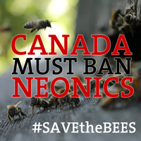 banneonics