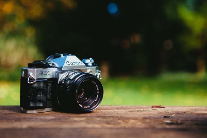 nature-photography-analog-camera-canon