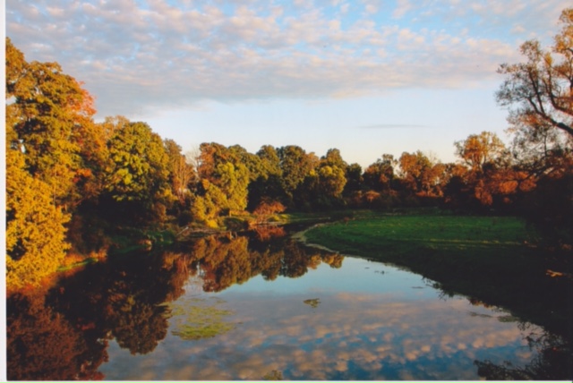 scan-2-ruth-anderson