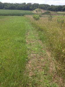 Pollination Gardens 003