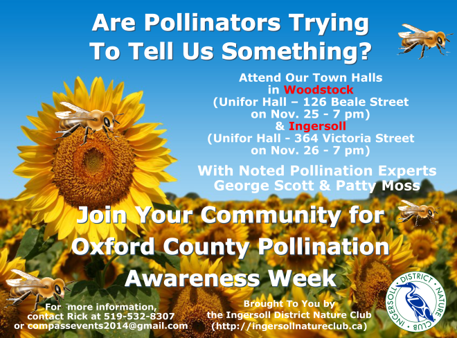 2014 11 10 Pollination Awareness Flyer Ver2
