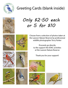 IDNC_GreetCard_Display_150dpi-01