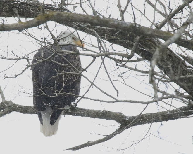 thumbnail_04d2m7a9007a10