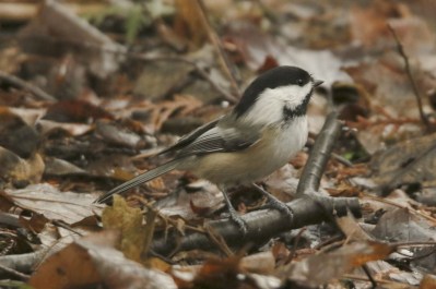 thumbnail_2m7a8243a6