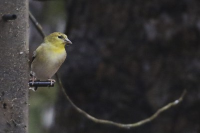 thumbnail_2m7a8246a6