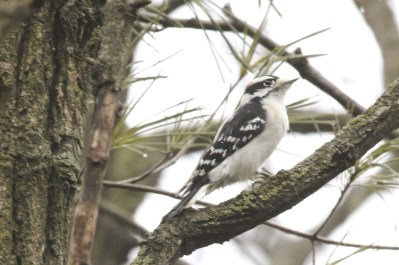 thumbnail_2m7a8283a6