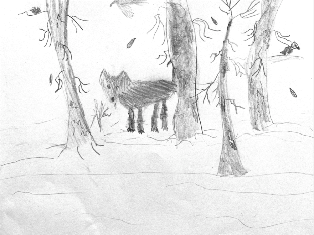 What’s Happening In The Nature&nbsp;Network